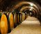 Enoturismo en Castilla y León con chófer privado
