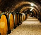 Enoturismo en Castilla y León con chófer privado