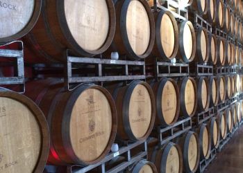 Si te gusta el vino, visita una bodega con chófer privado